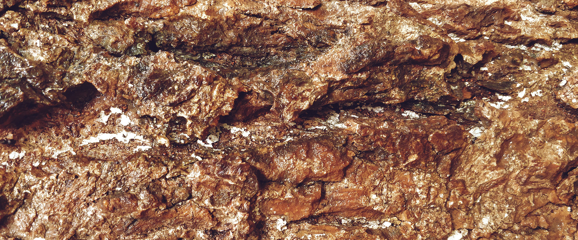 Золотосодержащая руда Кучусское месторождение