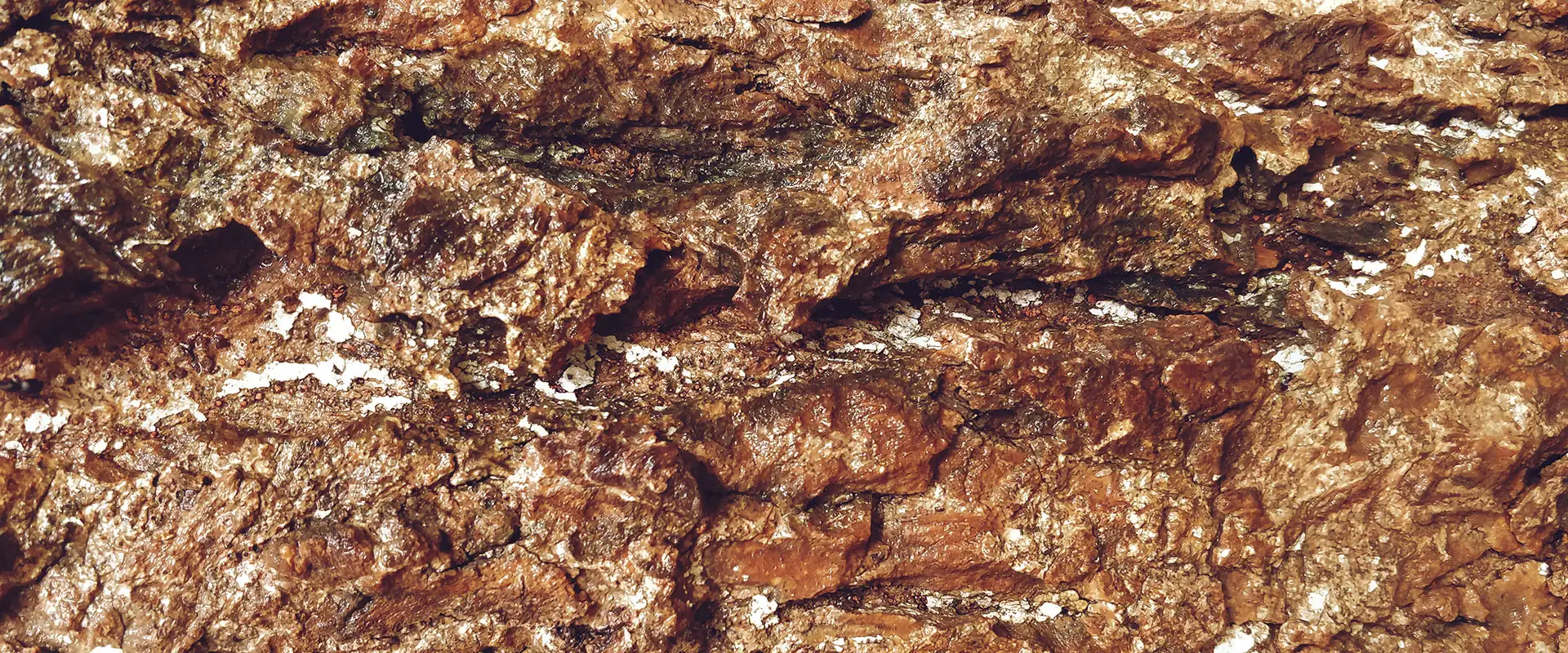 Золотосодержащая руда Кучусское месторождение