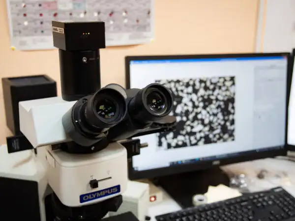 Петрографические исследования LIMS